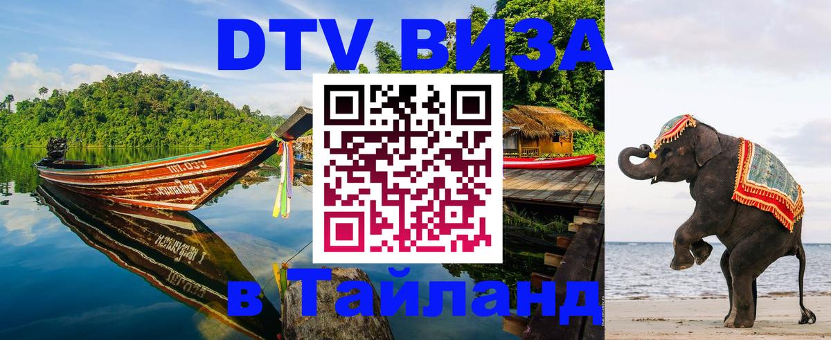 Сколько стоит DTV виза — актуальные цены, оформление даже без документов - 19.11.2025 